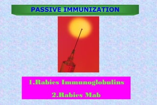 Mabs Rabies Rabies Prevention.ppt imp for msc nursing students and other | PPT