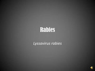 Rabies Lyssavirus rabies 