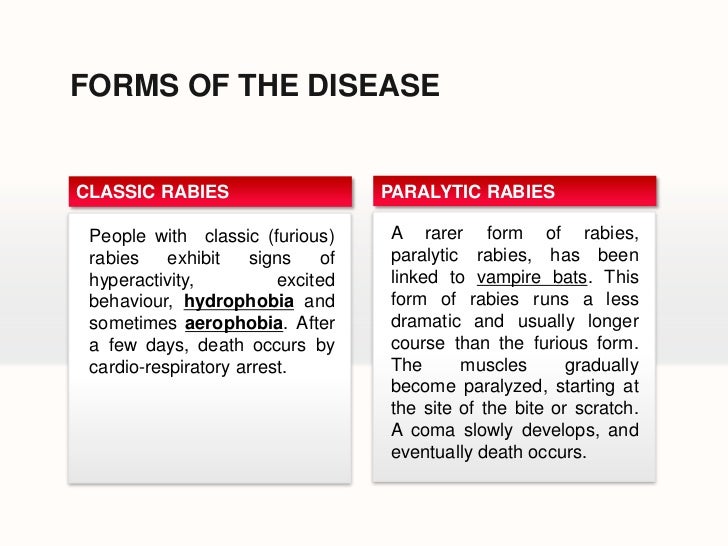Rabies Report