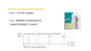 Rabies: 100% Fatal but 100% Preventable Disease | PPTX