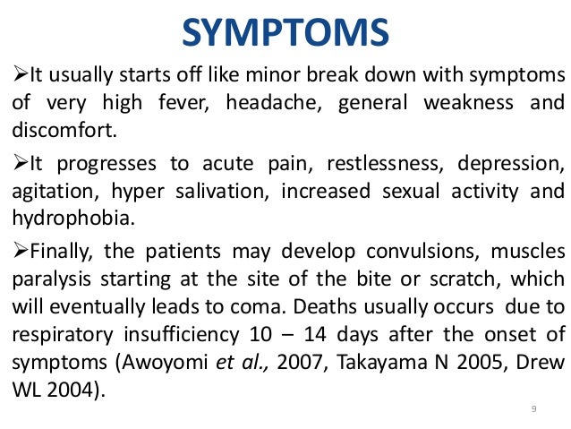 signs of rabies in dogs rabies by martin uwamose signs of rabies in dogs rabies by martin uwamose