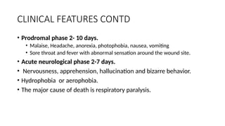 Fever From Rabies Viral Hemorrhagic Fever - RABIES STC.pptx