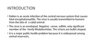 Fever From Rabies Viral Hemorrhagic Fever - RABIES STC.pptx