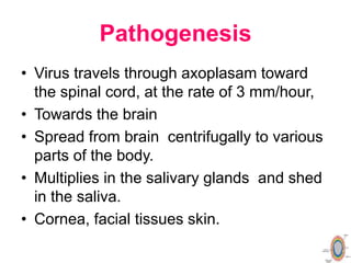 World Rabies Day 2023 Dr.T.V.Rao MD | PPT