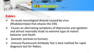 Rabies vaccine ppt by royal | PPTX