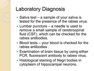Laboratory Diagnosis
 Saliva test – a sample of your saliva is
tested for the presence of the rabies virus.
 Lumbar puncture – a needle is used to
remove a small sample of cerebrospinal
fluid (CSF), which can be checked for the
rabies antibodies.
 Blood tests – your blood is checked for the
rabies antibodies .
 Examination of brain tissue by using either
PCR, fluorescent antibody to rabies virus.
 Histological staining of Negri bodies in
cytoplasm of hippocampal neurons.
 