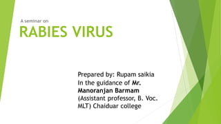 RABIES VIRUS
A seminar on
Prepared by: Rupam saikia
In the guidance of Mr.
Manoranjan Barmam
(Assistant professor, B. Voc.
MLT) Chaiduar college
 