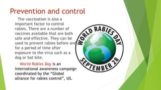 RABIES VIRUS.pptx