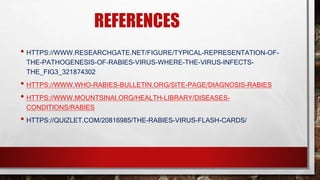 Researchgate How Rabies Is Transmitted Rabies Virus.pptx