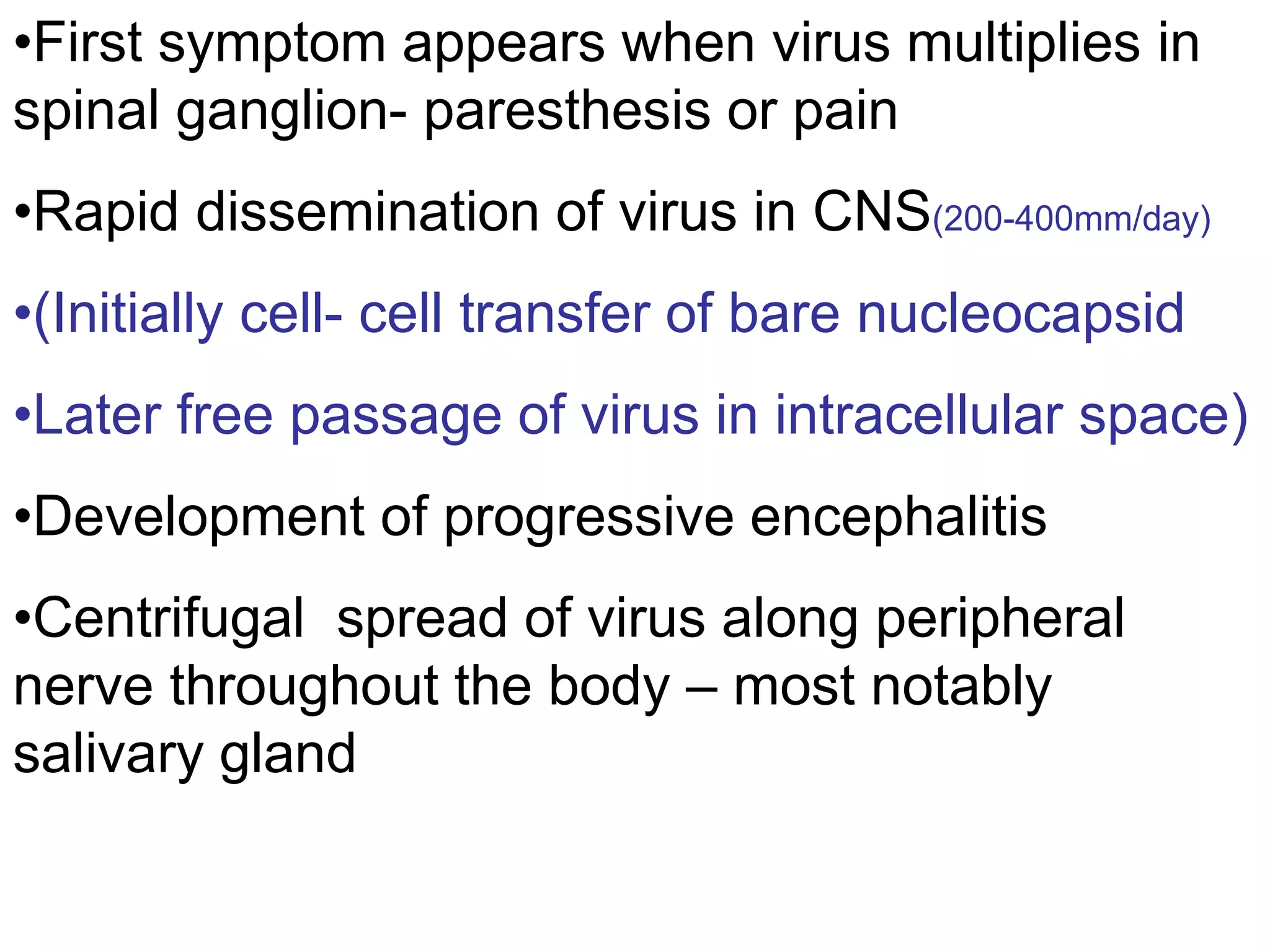•First symptom appears when virus multiplies in
spinal ganglion- paresthesis or pain
•Rapid dissemination of virus in CNS(200-400mm/day)
•(Initially cell- cell transfer of bare nucleocapsid
•Later free passage of virus in intracellular space)
•Development of progressive encephalitis
•Centrifugal spread of virus along peripheral
nerve throughout the body – most notably
salivary gland
 