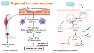 Pathogen Of Rabies Rabies virus-Host Pathogen.pptx