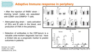 Rabies virus-Host Pathogen.pptx