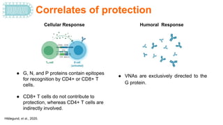 Rabies virus-Host Pathogen.pptx