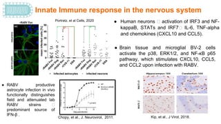 Rabies virus-Host Pathogen.pptx