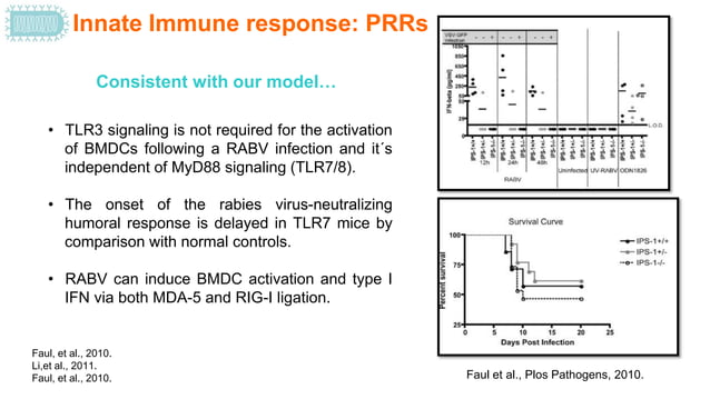 Rabies virus-Host Pathogen.pptx