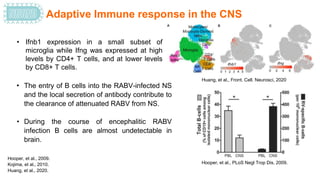 Rabies virus-Host Pathogen.pptx