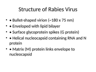 Complex Rabies Capsid Rabies_Virus_35_Slide_Microbiology_Presentation.pptx