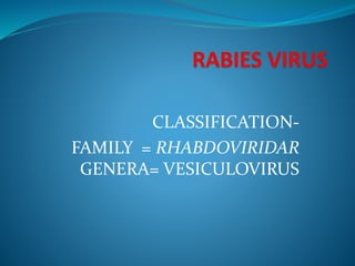 CLASSIFICATION-
FAMILY = RHABDOVIRIDAR
GENERA= VESICULOVIRUS
 