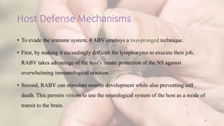 Rabies Virus_Presentation_by_Maliha_Rashid.pptx