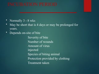 Comprehensive Overview of Rabies: Virus, Transmission, Symptoms, and ...