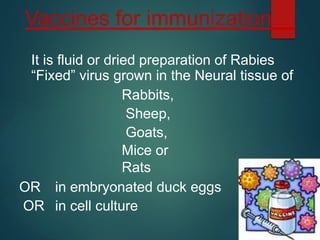 Sheep With Rabies Comprehensive Overview of Rabies: Virus, Transmission, Symptoms, and ...