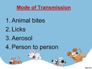 Mode of Transmission

1. Animal bites
2. Licks
3. Aerosol
4. Person to person
 