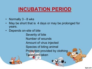 INCUBATION PERIOD:
• Normally 3 - 8 wks
• May be short that is 4 days or may be prolonged for
  years.
• Depends on-site of bite
              Severity of bite
              Number of wounds
              Amount of virus injected
              Species of biting animal
              Protection provided by clothing
              Treatment taken
 