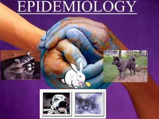 EPIDEMIOLOGY
 