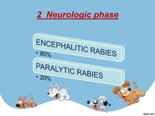 2 Neurologic phase
 