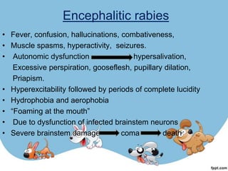 Encephalitic rabies
• Fever, confusion, hallucinations, combativeness,
• Muscle spasms, hyperactivity, seizures.
• Autonomic dysfunction                hypersalivation,
   Excessive perspiration, gooseflesh, pupillary dilation,
   Priapism.
• Hyperexcitability followed by periods of complete lucidity
• Hydrophobia and aerophobia
• “Foaming at the mouth”
• Due to dysfunction of infected brainstem neurons
• Severe brainstem damage           coma        death
 