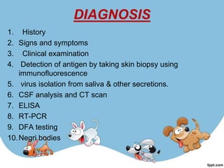 DIAGNOSIS
1. History
2. Signs and symptoms
3. Clinical examination
4. Detection of antigen by taking skin biopsy using
    immunofluorescence
5. virus isolation from saliva & other secretions.
6. CSF analysis and CT scan
7. ELISA
8. RT-PCR
9. DFA testing
10. Negri bodies
 
