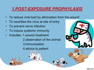 1.POST-EXPOSURE PROPHYLAXIS
•   To reduce viral load by elimination from the wound
•   To neutrilise the virus at site of entry
•   To prevent nerve infection
•   To induce systemic immunity
•   Includes -1.wound treatment
               2.observation of the animal
               3.immunization
               4.advice to patient
 
