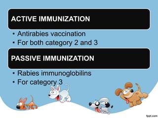 ACTIVE IMMUNIZATION

• Antirabies vaccination
• For both category 2 and 3

PASSIVE IMMUNIZATION

• Rabies immunoglobilins
• For category 3
 