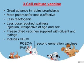 3.Cell culture vaccine
• Great advance in rabies prophylaxis
• More potent,safer,stable,effective
• Less reactogenic
• Less dose required, painless
  injection, irrespective of age and sex
• Freeze dried vaccines supplied with diluent and
  syringe
• Includes HDCV
            PCEC-V second generation vaccines
            PVRV
 