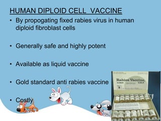 HUMAN DIPLOID CELL VACCINE
• By propogating fixed rabies virus in human
  diploid fibroblast cells

• Generally safe and highly potent

• Available as liquid vaccine

• Gold standard anti rabies vaccine

• Costly
 