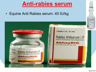 Anti-rabies serum
• Equine Anti Rabies serum: 40 IU/kg

• Human rabies immunoglobin : 20 IU/kg

• Recommended dose around the wound and rest
  in IM on 0 day

• Booster doses are essential whenever anti
  rabies serum is given with the vaccine

• ARG-local viricidal/neutrilising effect
 