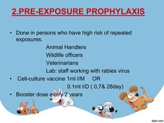 2.PRE-EXPOSURE PROPHYLAXIS

• Done in persons who have high risk of repeated
  exposures.
               Animal Handlers
               Wildlife officers
               Veterinarians
               Lab: staff working with rabies virus
• Cell-culture vaccine 1ml I/M OR
                         0.1ml I/D ( 0,7& 28day)
• Booster dose every 2 years
 