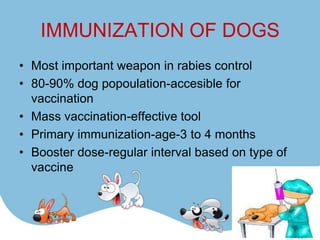 IMMUNIZATION OF DOGS
• Most important weapon in rabies control
• 80-90% dog popoulation-accesible for
  vaccination
• Mass vaccination-effective tool
• Primary immunization-age-3 to 4 months
• Booster dose-regular interval based on type of
  vaccine
 