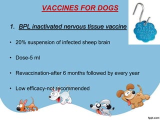 VACCINES FOR DOGS

1. BPL inactivated nervous tissue vaccine

• 20% suspension of infected sheep brain

• Dose-5 ml

• Revaccination-after 6 months followed by every year

• Low efficacy-not recommended
 