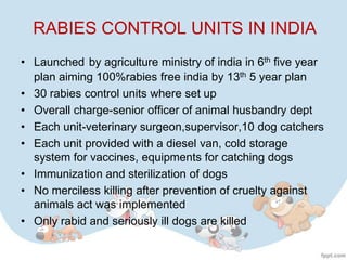 RABIES CONTROL UNITS IN INDIA
• Launched by agriculture ministry of india in 6th five year
  plan aiming 100%rabies free india by 13th 5 year plan
• 30 rabies control units where set up
• Overall charge-senior officer of animal husbandry dept
• Each unit-veterinary surgeon,supervisor,10 dog catchers
• Each unit provided with a diesel van, cold storage
  system for vaccines, equipments for catching dogs
• Immunization and sterilization of dogs
• No merciless killing after prevention of cruelty against
  animals act was implemented
• Only rabid and seriously ill dogs are killed
 
