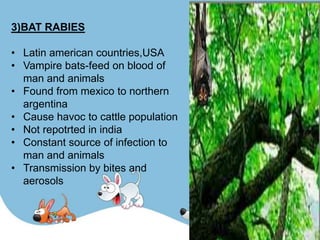 Host Factors

• All warm blooded animals including man.

• Rabies in man is a dead-end infection.

• People at risk-lab wo...