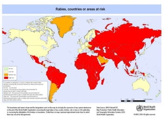 Rabies free areas
•   Australia
•   New zealand
•   Taiwan
•   Cyprus
•   Iceland
•   Ireland
•   Japan
•   U.K.
•   Islan...