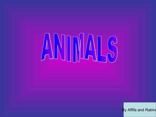 ANIMALS By Affifa and Rabina 