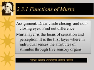 2.3.1 Functions of Murto
Assignment: Draw circle closing and non-
closing eyes. Find out difference.
Murta layer is the locus of sensation and
perception. It is the first layer where in
individual senses the attributes of
stimulus through five sensory organs.
চ ারের আরোয় চেরেছিরেম চ ারের বাছিরর
 