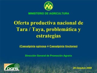 Oferta productiva nacional de Tara / Taya, problemática y estrategias Dirección General de Promoción Agraria 29 Octubre  2008 MINISTERIO DE AGRICULTURA ( Caesalpinia   spinosa  ó  Caesalpinia   tinctorea ) 