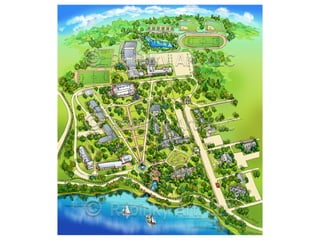 Rabinky Art illustrations