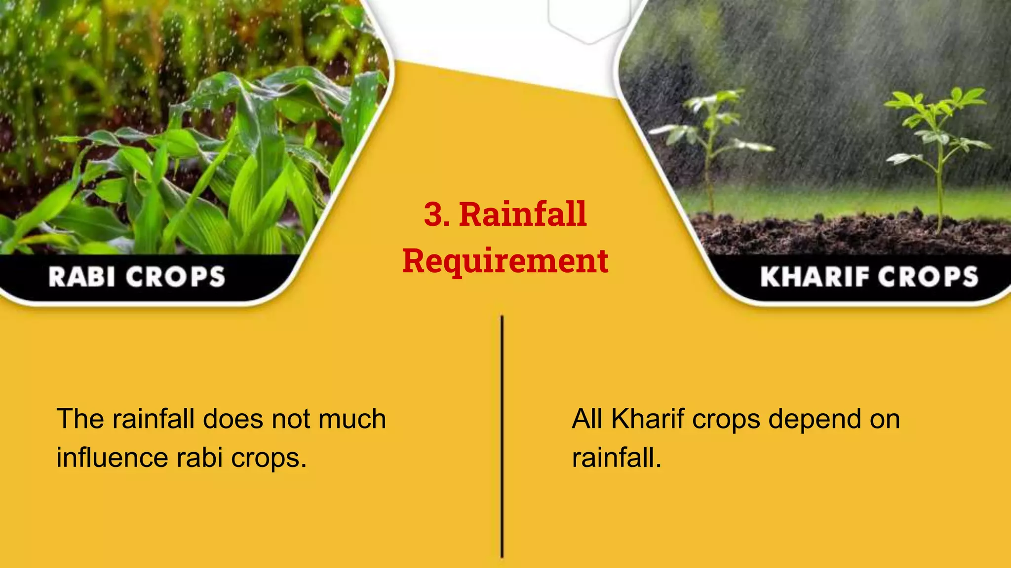 Mota Rabi Why Rabi and Kharif Season Is Best For Farming? | PPTX