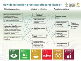 Greenhouse gas (GHG) emissions & priority action in climate mitigation ...