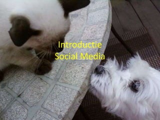 IntroductieSocial Media 
