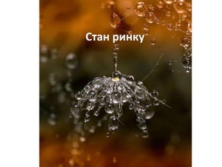 Стан ринку
 